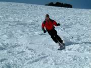 40_Tobin perfect parallel.com